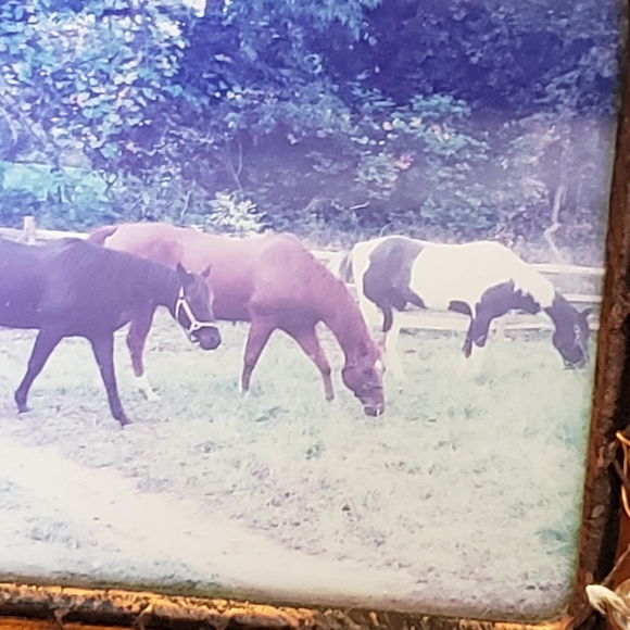 Meet your Posher, Vickie - Picture 2 of 4